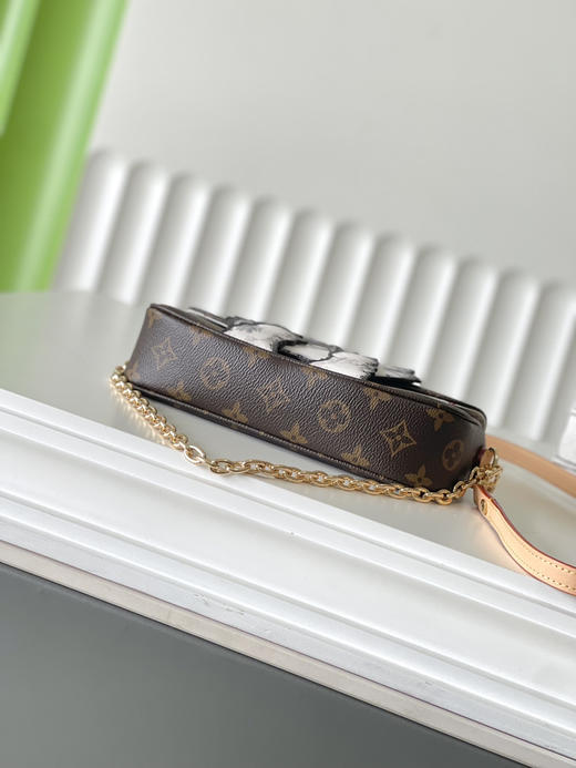 秋冬特惠💰700 原单LV M15148 尺寸：23.5×12×4.3cm CHAIN IVY 链条斜挎包 变码芯片 商品图3