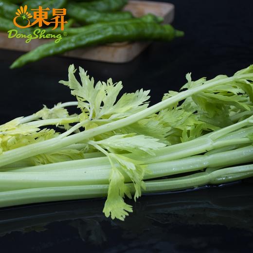 桂河芹菜  青菜辅料 广州蔬菜新鲜配送 300g 商品图2