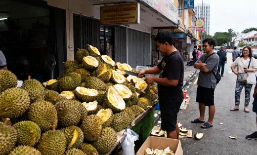 1.26出发【马来西亚】吉隆坡马六甲五天行摄（K） 商品图5