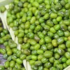 【ZCWJ】绿豆 农家当季新绿豆圆润饱满 商品缩略图2