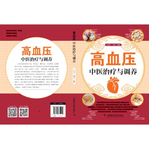 高血压中医治疗与调养 商品图1
