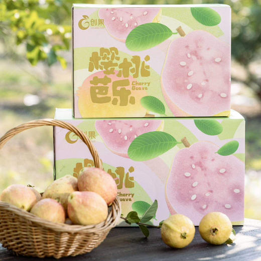 樱桃芭乐顺丰空运包邮下单从广东发货 商品图1
