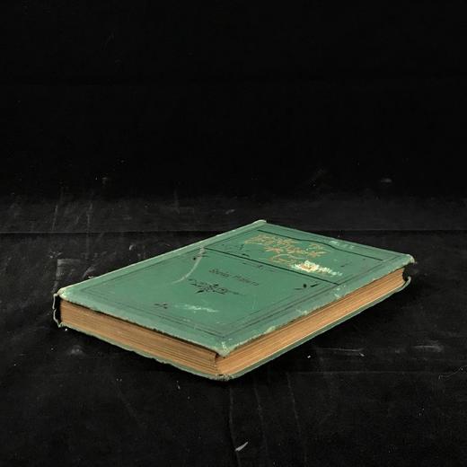 1881年 蕨类植物园艺指南 数十幅插图（含彩色） 漆布精装32开 商品图1