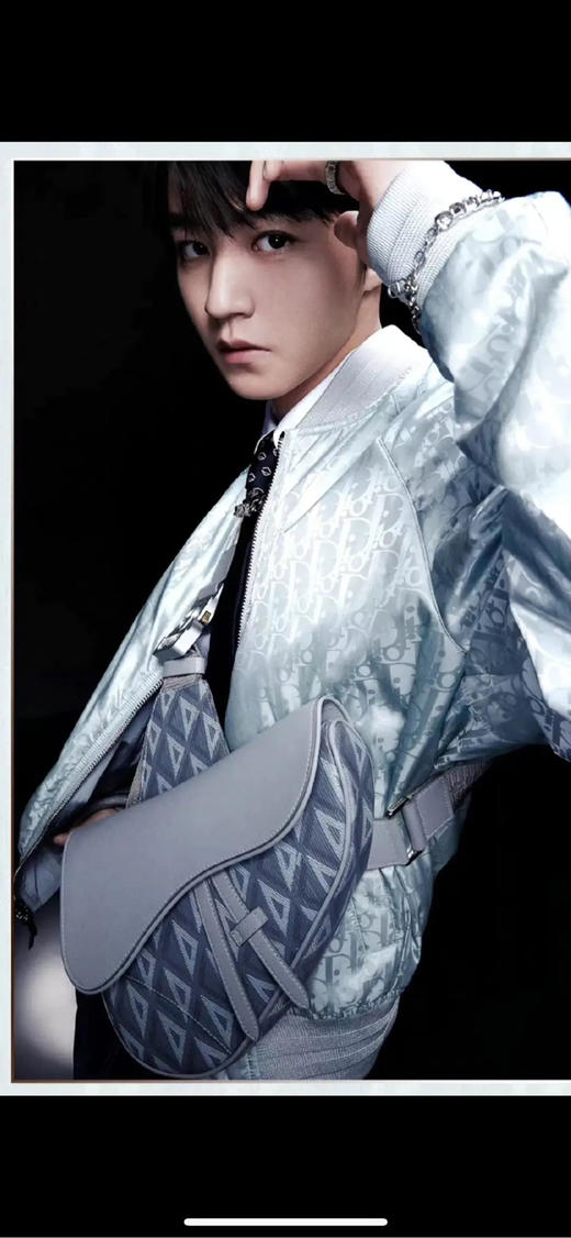 Dior CD Diamond 马鞍包 商品图2