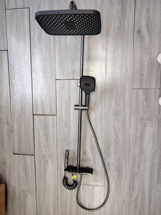 帝富龙 大花洒 钢琴键 G2261 枪灰色 新款 商品图0