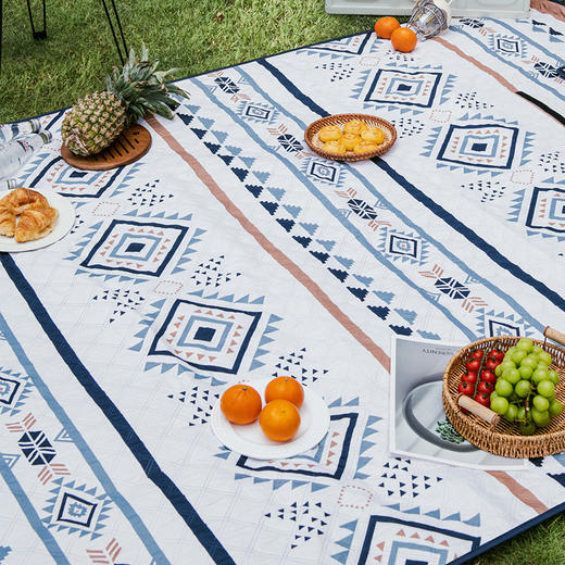 大迈 DM-8003 折叠防潮野餐垫 商品图1