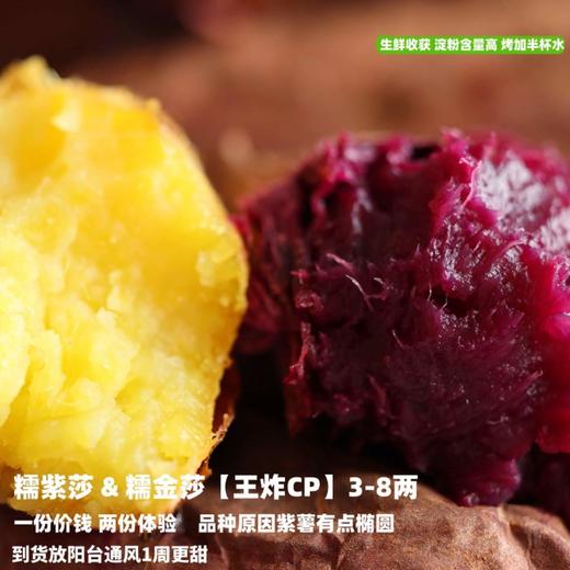 [最农公社]双拼5A糯金莎(红薯/紫薯)免洗恒温糖化红薯买4斤送0.5斤实发4.5斤 商品图1