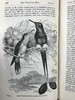 1899年 达尔文《人类的由来及性选择》 数十幅版画插图 漆布精装32开 商品缩略图8