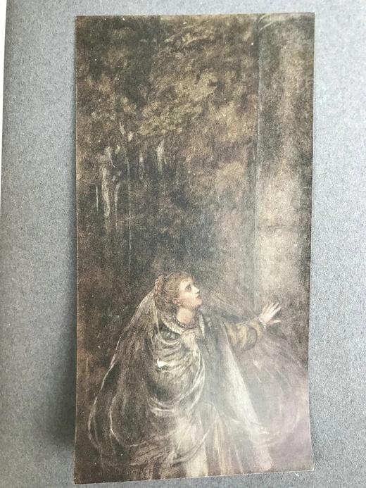 被收录进牛津词典的插画家！约20世纪早期 莎士比亚《第十二夜》 威廉·希斯·罗宾森40幅彩色手工贴图 漆布精装16开 商品图11