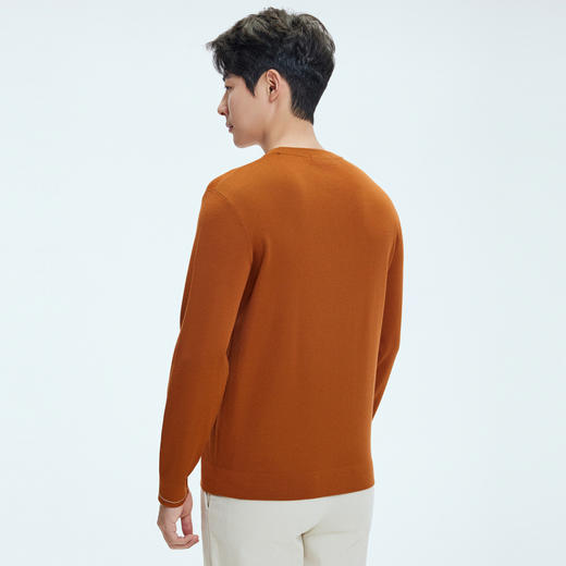 【门店同款&含绵羊毛】圣得西2025年冬季毛衫青年男可机洗针织衫 商品图3