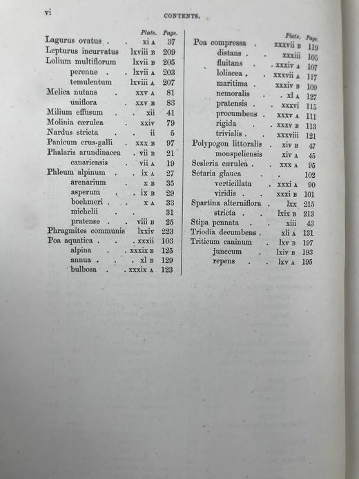 1871年 英国草本植物自然史 约74幅套色版画插图 漆布精装16开 商品图6