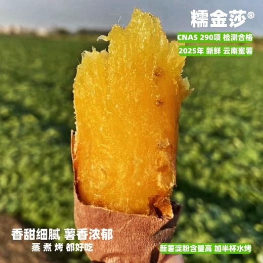 [最农公社]双拼5A糯金莎(红薯/紫薯)免洗恒温糖化红薯买4斤送0.5斤实发4.5斤 商品图4