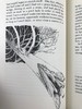限量版！含藏书票 亨利・D・梭罗《瓦尔登湖》配插图 富兰克林图书馆豪华皮装本 商品缩略图12