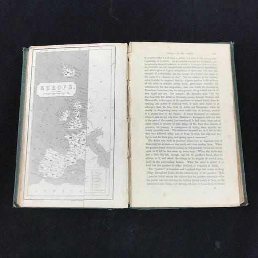 约19世纪后期 自然罗曼司 约百幅木版画插图 漆布精装大32开 商品图2