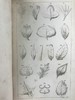 1833年 英国植物系统分类 10页版画插图 漆布精装32开 商品缩略图7