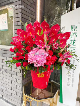 【吉祥红火】红掌绣球混搭瓶花（生日拜年乔迁开业搬家祝寿升职升迁等）