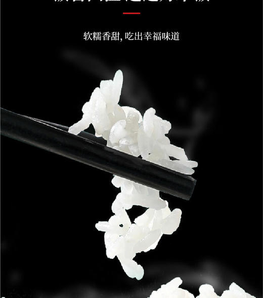 膳魔师电饭锅(电饭煲)香槟金EHA-4130A-CG 商品图8
