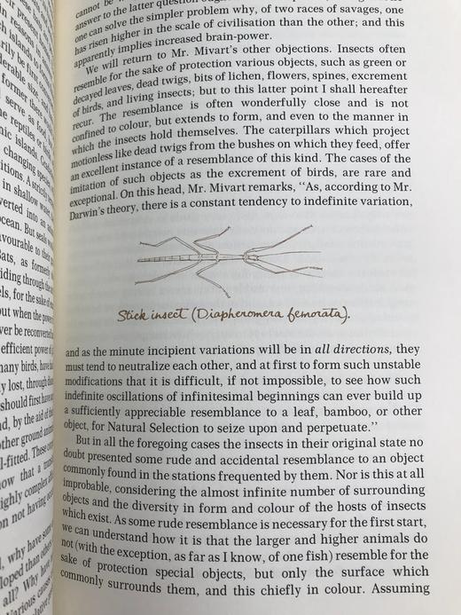 限量版！含藏书票 查尔斯・达尔文《物种起源》 配插图 富兰克林图书馆豪华皮装本 商品图12