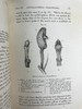 1904年 达尔文《兰花借助昆虫传粉的各种巧妙构造》 38幅木版画插图 漆布精装32开 商品缩略图12