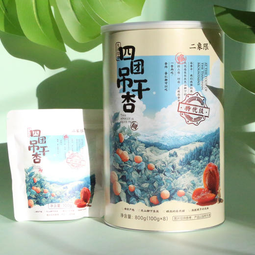 雪山下的葡萄干/四团吊干杏抱抱桶 商品图1