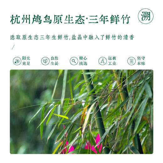 全食物日记 升级三烤竹盐 180克 商品图3