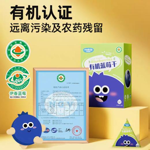 妙伯乐有机蓝莓干100g 商品图3