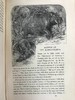 约19世纪后期 自然罗曼司 约百幅木版画插图 漆布精装大32开 商品缩略图7