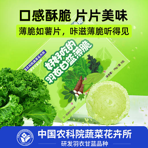 中国农科院研发｜羽衣甘蓝十黑粉（12种食材）+羽衣甘蓝薄脆（非油炸）组合装｜0蔗糖0香精｜独立包装 以黑养黑 健康零食 商品图4