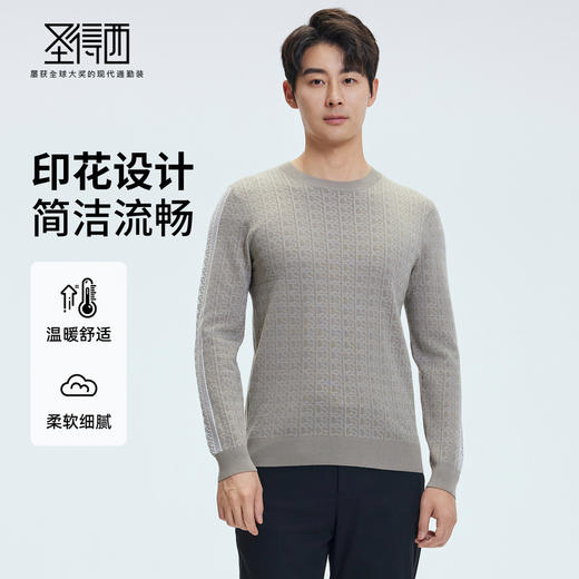 【门店同款】圣得西2025年冬季亮丝暗提花毛衫简约男士保暖针织衫 商品图0