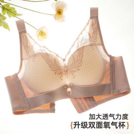 雅黛俪大胸显小显瘦女士内衣轻薄透气性感蕾丝网纱提拉收副乳文胸罩 商品图3