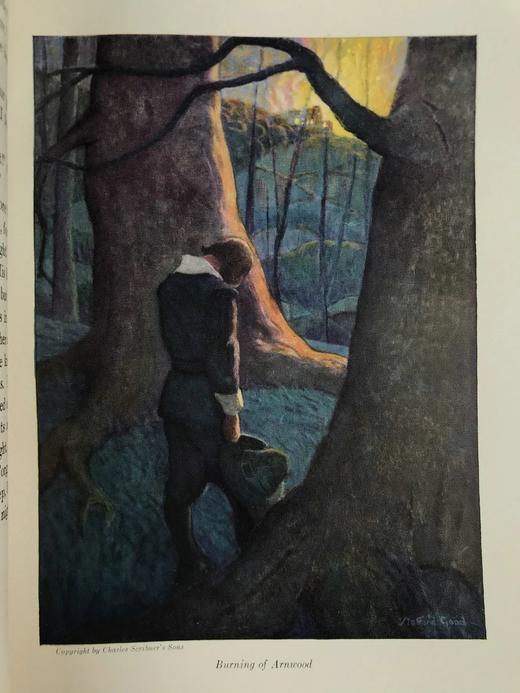 1927年 马里亚特《新森林的孩子们》 9幅彩色插图 漆布精装18开 商品图3