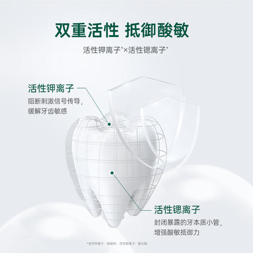 freefuns青蒿多效牙膏  100g  植物成分青蒿 草本去渍技术 双重活性因子 柚然茉莉香 商品图4