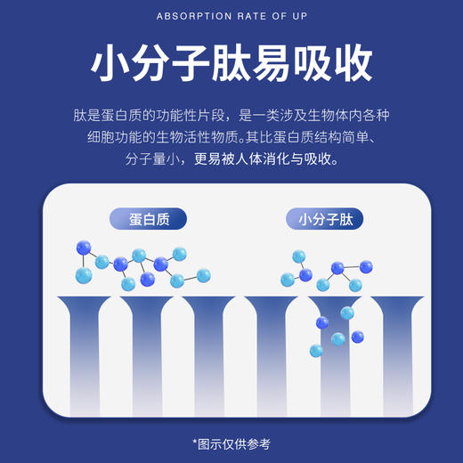 养瑞和丨人参海参低聚肽·70g·14袋/盒·海参肽牡蛎肽人参肽大豆肽骨胶原蛋白肽亚麻籽油 商品图7
