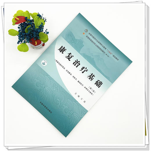 康复治疗基础（第二版）王磊 主编 全国中医药行业高等职业教育十四五规划教材 中国中医药出版社 商品图1
