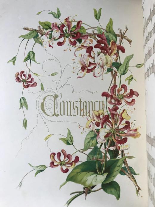 1848年 欧文琼斯 花朵与它们的千思万绪 10余幅精美套色版画 皮革浮雕艺术装帧精装16开 商品图11