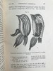 1904年 达尔文《兰花借助昆虫传粉的各种巧妙构造》 38幅木版画插图 漆布精装32开 商品缩略图11