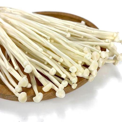 【ZCWJ】新鲜金针菇 菌香浓郁 商品图2