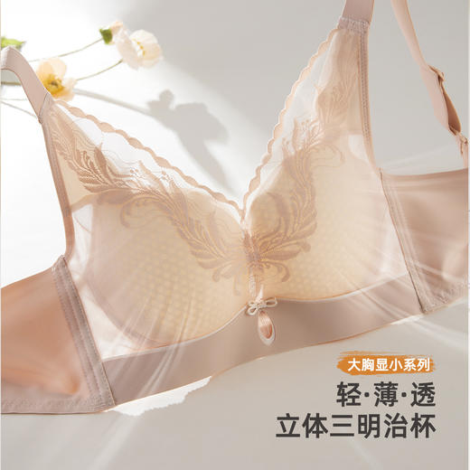 雅黛俪大胸显小显瘦女士内衣轻薄透气性感蕾丝网纱提拉收副乳文胸罩 商品图1