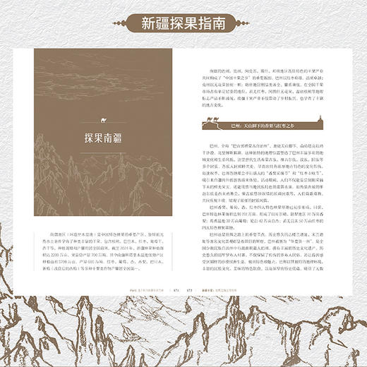 新疆干果：丝绸之路上的传奇 商品图3