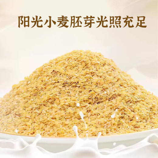 黄金小麦胚芽 未提取胚芽油  植物燕窝 高纤高蛋白 冲泡即食 商品图2