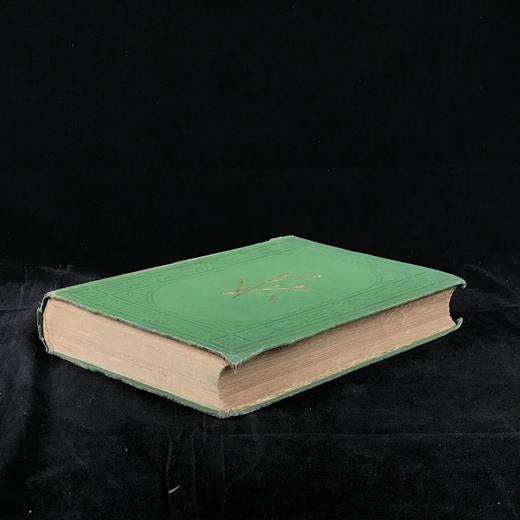 1871年 英国草本植物自然史 约74幅套色版画插图 漆布精装16开 商品图1