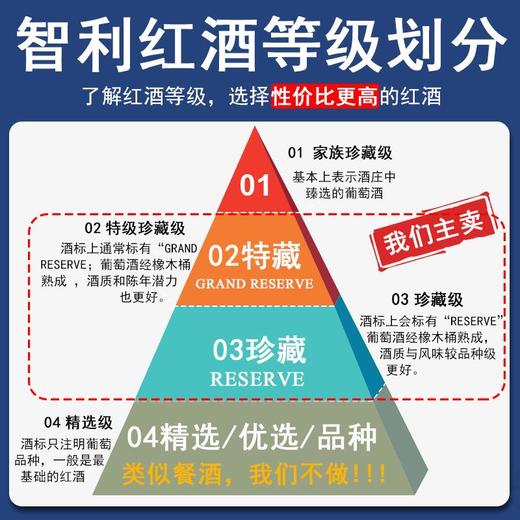 圣澳智利原瓶进口红酒55年老藤原装整箱高端礼盒装干红葡萄酒 商品图3