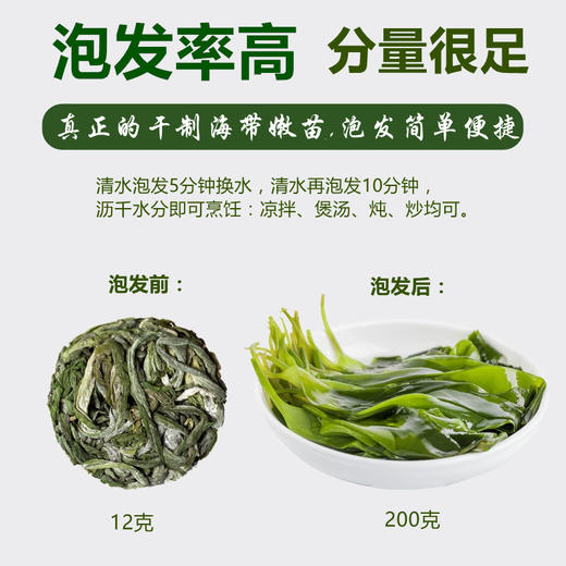 压缩有机海带嫩苗 泡发率高干净无沙  可凉拌炖汤火锅 商品图1