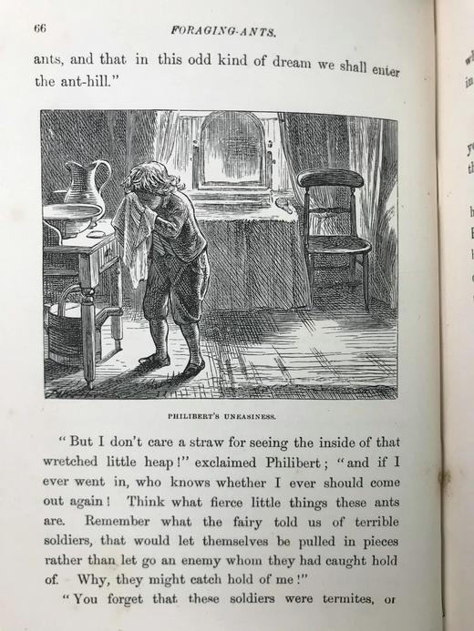 1882年 艾洛《小精灵弗里斯基特》 配精美插图 漆布精装32开 商品图14