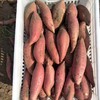 【331项农残0检出】【中国地标产品】烟薯/冰糖蜜薯 小时候的味道 口感软绵香甜 细腻甜如蜜   入口即化  细腻无丝  约5斤 商品缩略图2