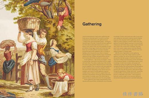 Repast (British Museum): The Story of Food / 盛宴（大英博物馆）：食物简史 商品图3