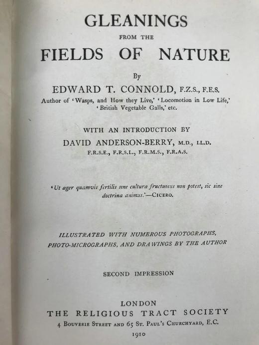 1910年 康诺尔德《自然之域拾珍》 26幅插图 真皮精装32开 商品图3