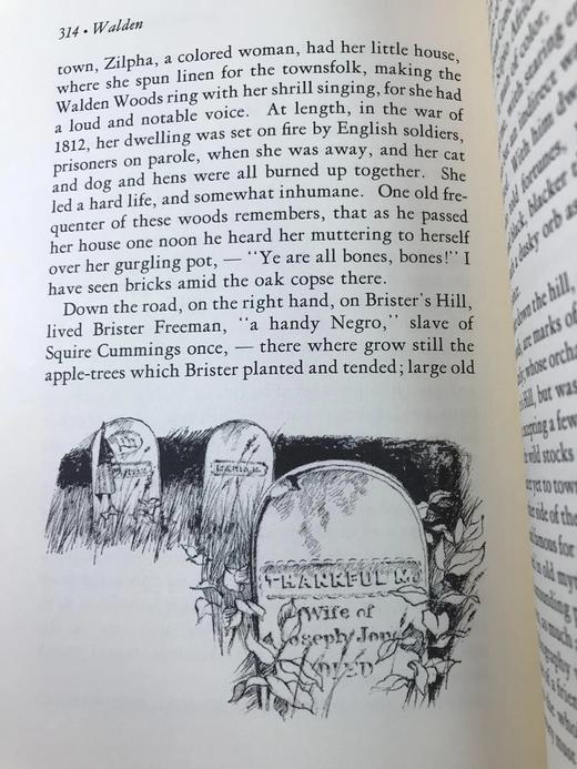 限量版！亨利・戴维・梭罗《瓦尔登湖》 配插图 富兰克林图书馆豪华皮装本 商品图8