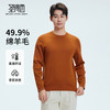 【门店同款&含绵羊毛】圣得西2025年冬季毛衫青年男可机洗针织衫 商品缩略图0