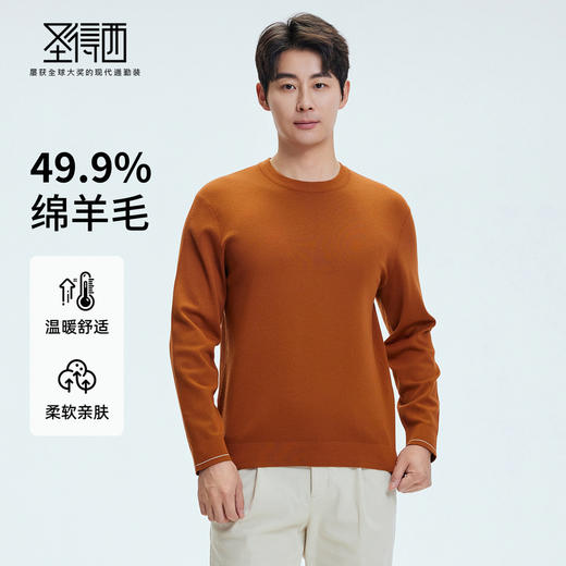 【门店同款&含绵羊毛】圣得西2025年冬季毛衫青年男可机洗针织衫 商品图0